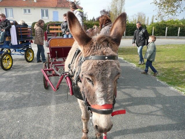 Neuvy mars 2012 (2).jpg
